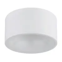 STROPNÍ LED SVÍTIDLO, 15/7,5 cm