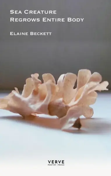 Sea Creature Regrows Entire Body - Elaine Beckett