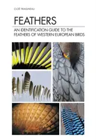 Feathers - Cloe Fraigneau