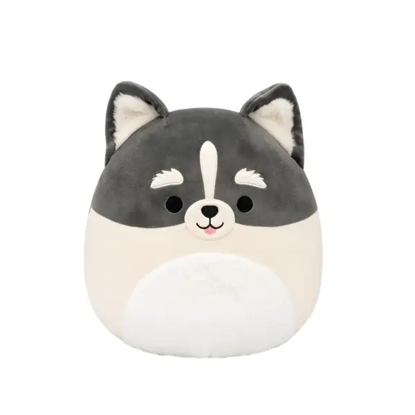 Squishmallows Pomsky Paolo