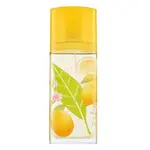 Elizabeth Arden Green Tea Citron Freesia toaletná voda unisex 100 ml