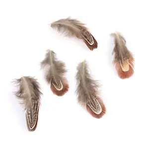 Chicken Feather Costume Accessories