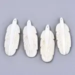 Natural Freshwater Shell Pendants