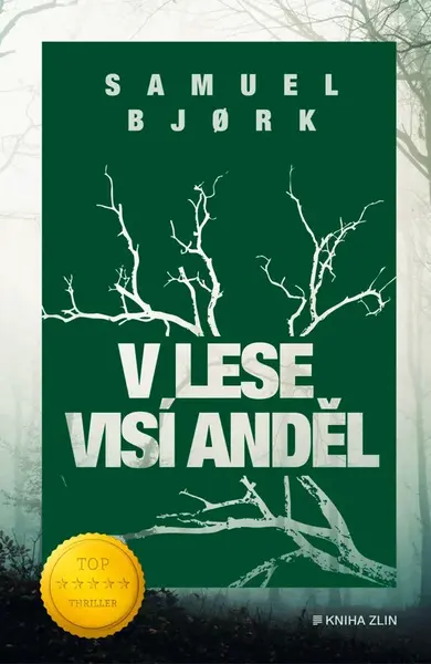 V lese visí anděl - Bjork Samuel - e-kniha