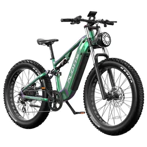 DUOTTS E26 Electric Bike 750W 20AH Green Purple
