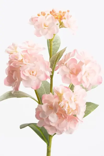 Umělé květiny home & lifestyle 56 cm