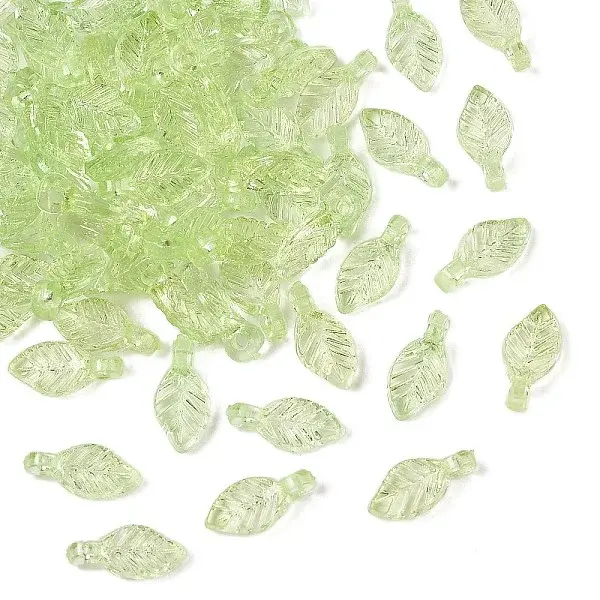 Transparent Acrylic Charms