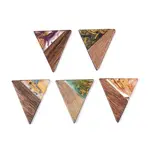 Opaque Resin & Walnut Wood Pendants