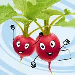 Reďkovka Faraon (Baby)