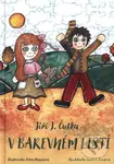 V barevném listí - Petra Hanušová (ilustrátor), Jiří J. Čutka