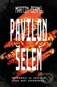 Pavilon šelem - Martin Černý - kniha z kategorie Thrillery