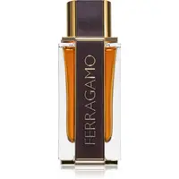Ferragamo Ferragamo Spicy Leather parfumovaná voda pre mužov 100 ml