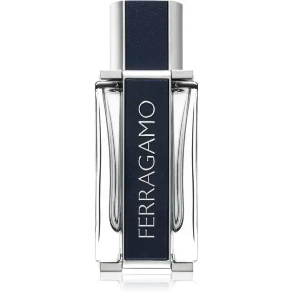 Ferragamo Ferragamo toaletná voda pre mužov 50 ml