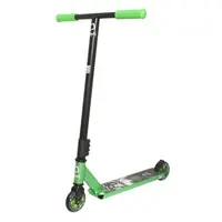 Koloběžka D-Young Ion zelená