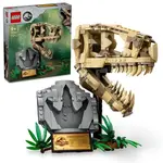 LEGO® Jurassic World™ 76964 Dinosauří fosilie: Lebka T-Rexa