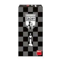 magnetický šachy