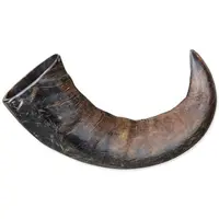 Žvýkací roh Genuine buffalo velký
