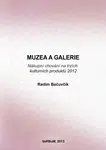 Muzea a galerie - Radim Bačuvčík - e-kniha