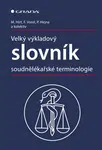 Velký výkladový slovník soudnělékařské terminologie - Miroslav Hirt, Petr Hejna, František Vorel - e-kniha
