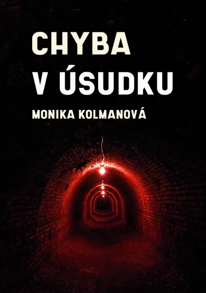 Chyba v úsudku - Monika Kolmanová