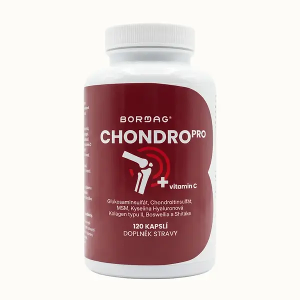 BORMAG ChondroPro komplex se shiitake a boswellií 120 kapslí