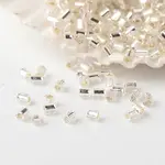FGB Grade A Glass Seed Beads