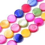 Natural Freshwater Shell Beads Strands