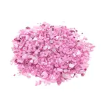 Natural Freshwater Shell Beads