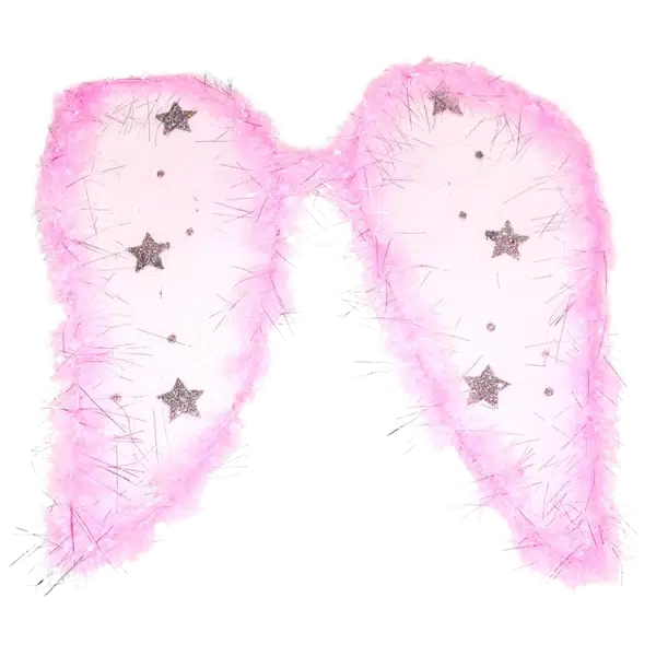 Křídla karneval