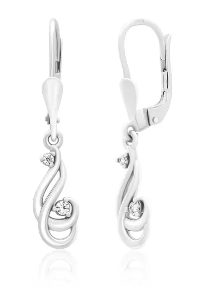 Soliter Třpytivé stříbrné náušnice s krystaly 436 001 00549 04