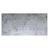 Panel terazo xl 50x100cm 1bal=4m2