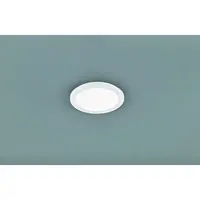 Reality Camillus led stropné osvetlenie biela re r62921501 RER62921501