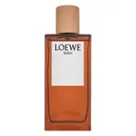 Loewe Solo Loewe Pour Homme toaletní voda pro muže 100 ml
