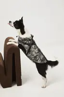 Bunda pre zvieratko Medicine