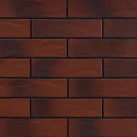 Fasádní obkladový kámen Cien rus. burg. 24,5/6