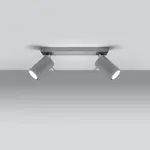 Stropné bodové svietidlo Oregon 2 šedá