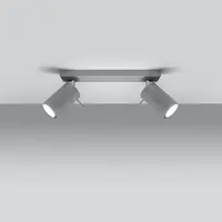 Stropné bodové svietidlo Oregon 2 šedá