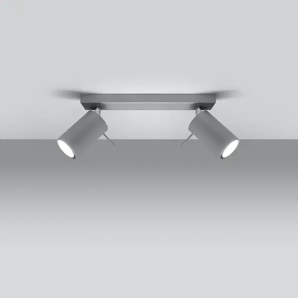 Stropné bodové svietidlo Oregon 2 šedá