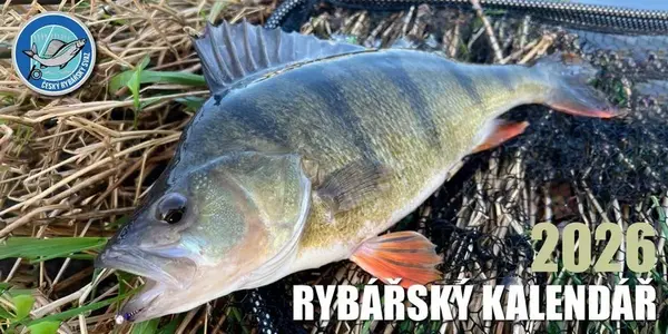 Črs stolní rybářský kalendář na rok 2026 30x15 cm