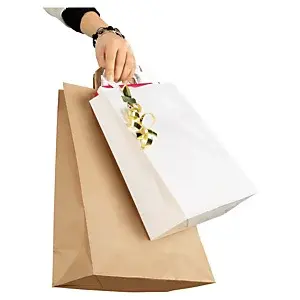 170 x Hnědé papírové tašky 450x480x170 mm | RAJA