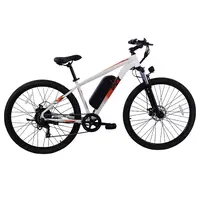PVY M29 Electric Bike 250W 48V 17.5Ah 25km/h White