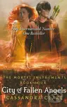 The Mortal Instruments: City of Fallen Angels (Book Four) - kniha z kategorie Fantasy