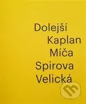 Dolejší - Kaplan - Míča - Spirova - Velická - Iva Mladičová - kniha z kategorie Malířství