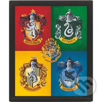 Harry Potter Obraz 3D - farebný