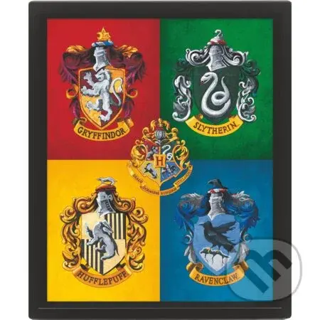 Harry Potter Obraz 3D - farebný