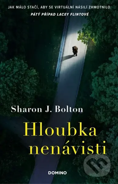 Hloubka nenávisti - Sharon J. Bolton - kniha z kategorie Thrillery