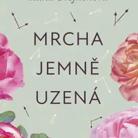 Mrcha jemně uzená - Hana Švejnohová - e-kniha