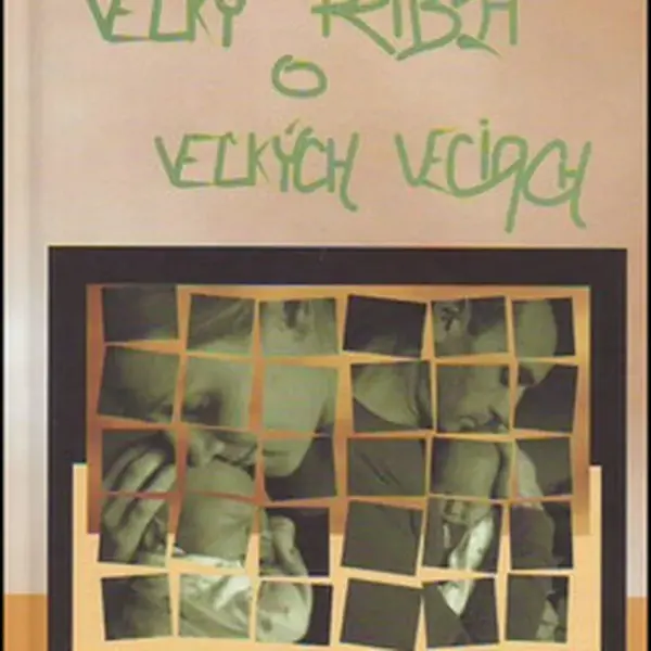 Veľký príbeh o veľkých veciach - Júlia Hubeňáková