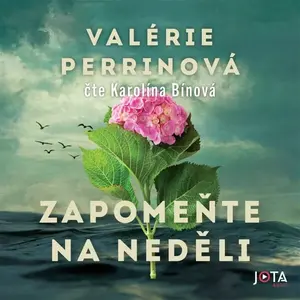 Zapomeňte na neděli - Valérie Perrinová - audiokniha