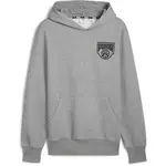 Puma POSTERIZE HOODIE Pánská mikina, šedá, velikost